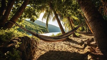 Un hammac entre 2 arbres