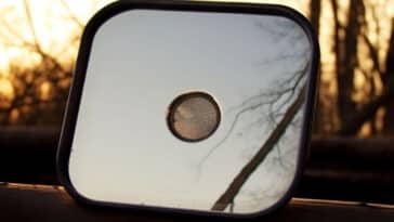 Un miroir de signalisation utilisé en forêt